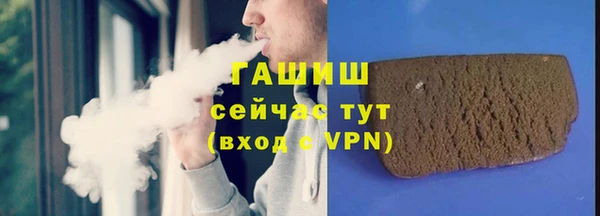 индика Вяземский